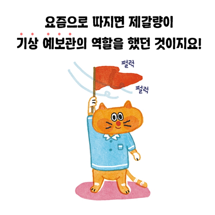 카드뉴스4