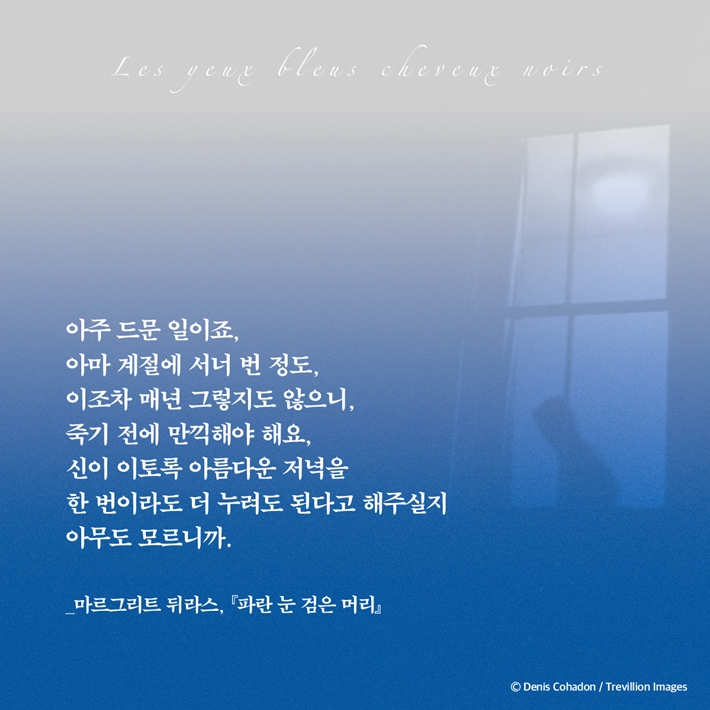 카드뉴스1