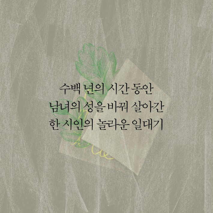 카드뉴스11