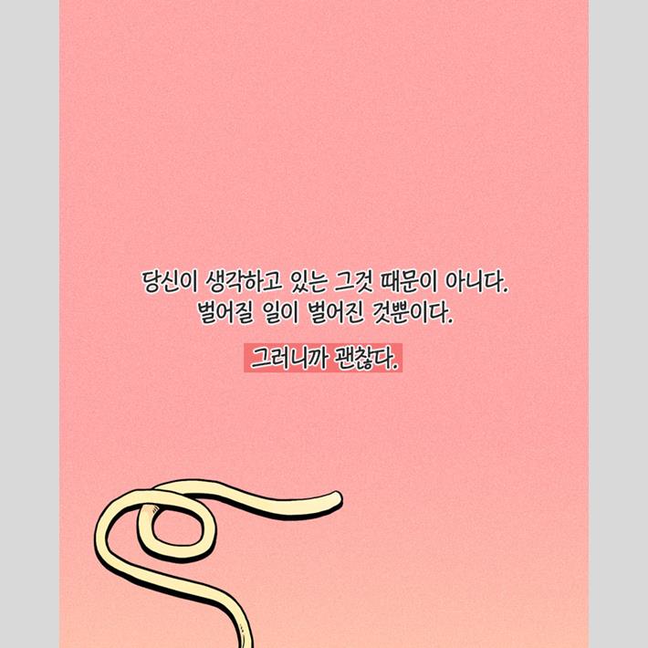 카드뉴스24