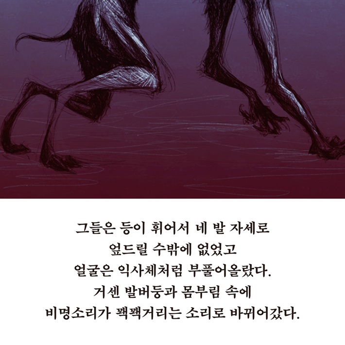 카드뉴스2