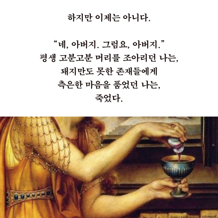 카드뉴스11