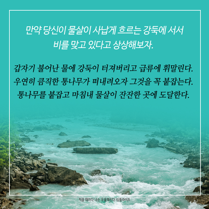 카드뉴스4