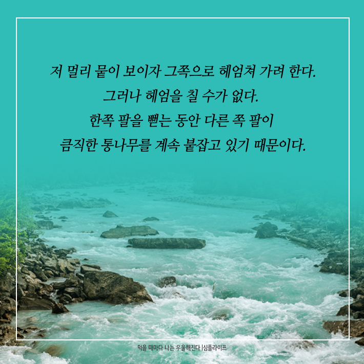 카드뉴스5