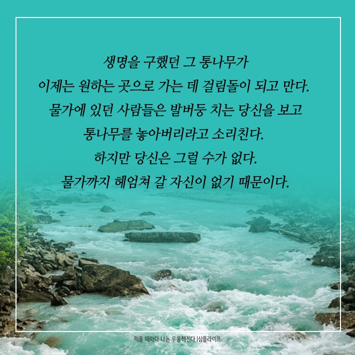 카드뉴스6
