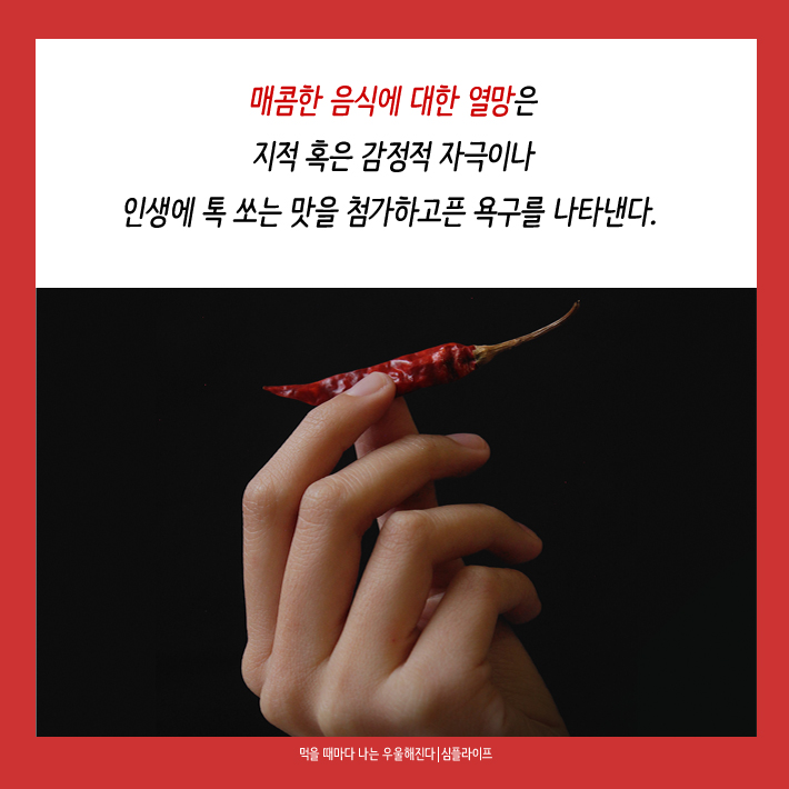 카드뉴스12