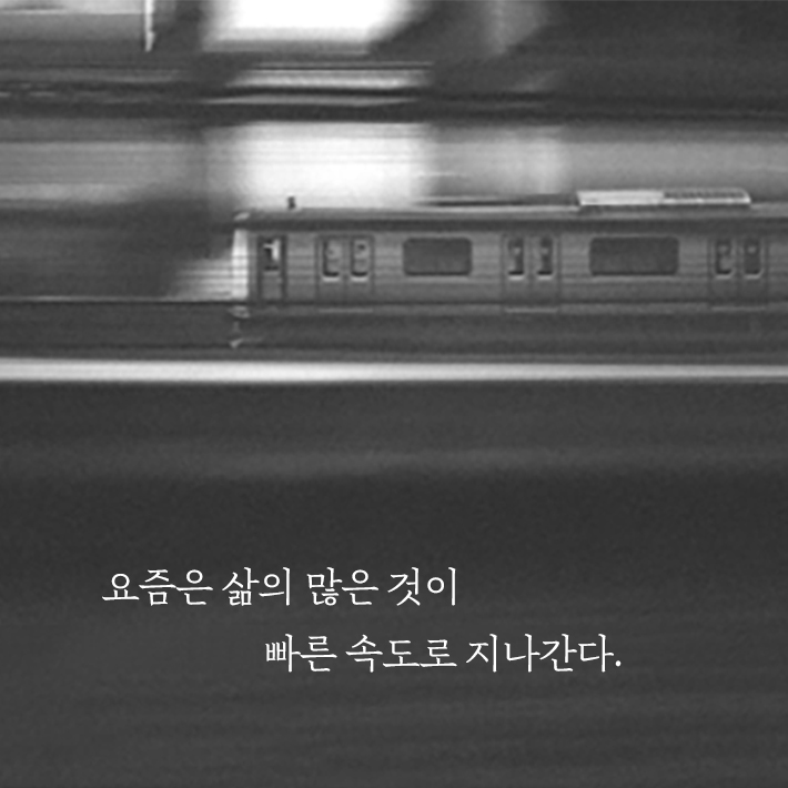 카드뉴스8