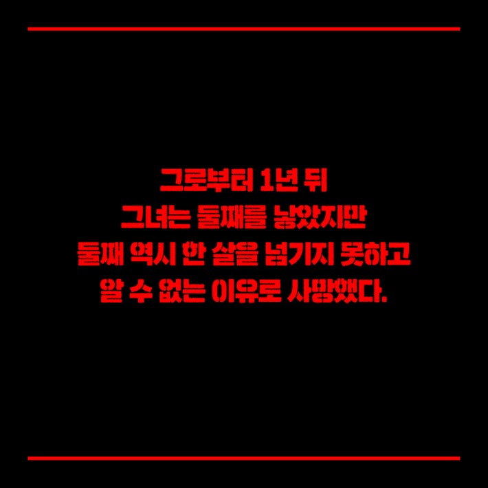 카드뉴스2
