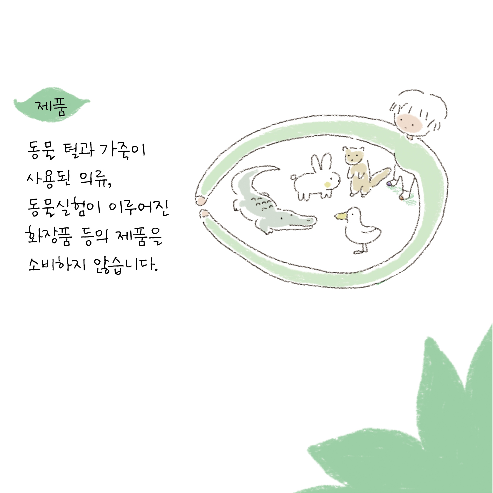 카드뉴스5