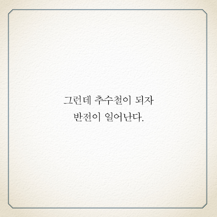 카드뉴스3