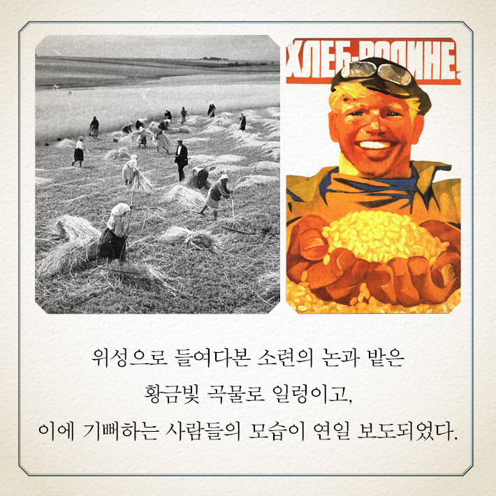 카드뉴스4