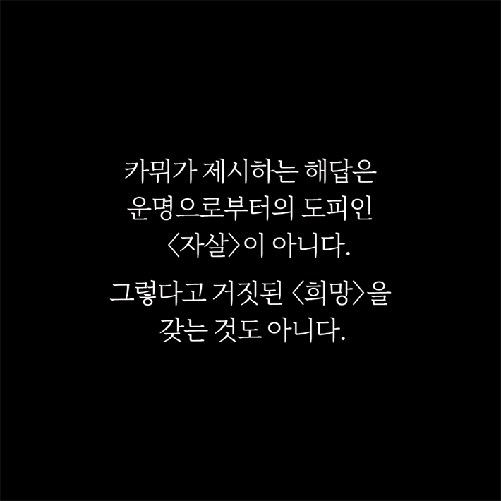 카드뉴스12