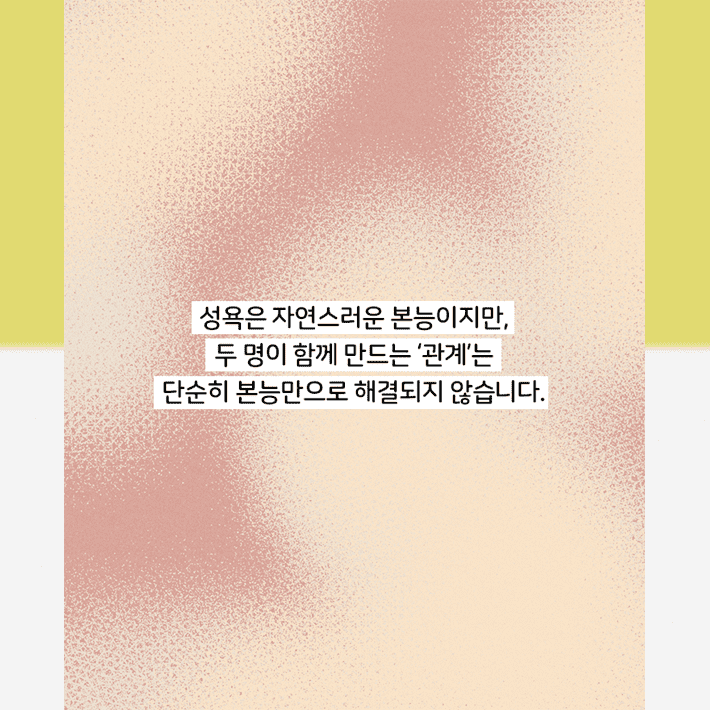 카드뉴스19