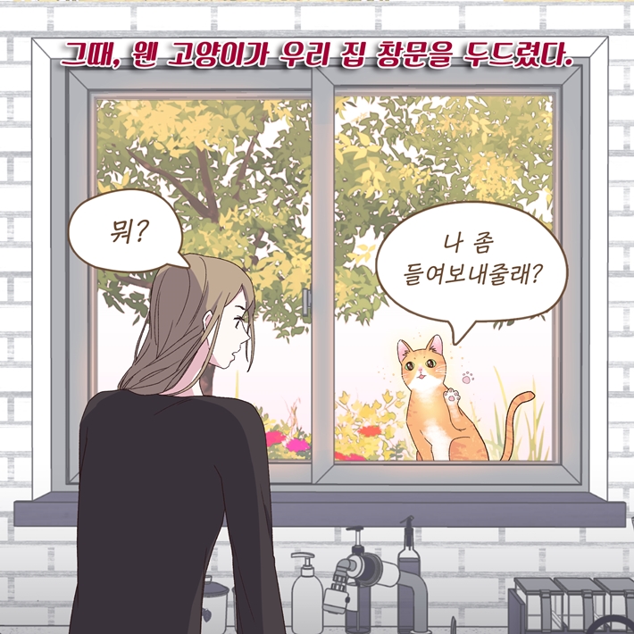 카드뉴스5