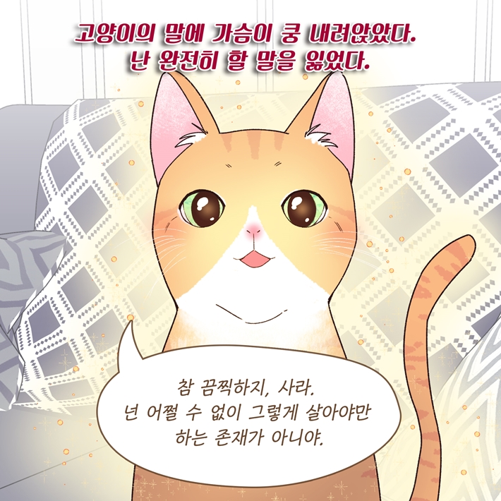 카드뉴스9