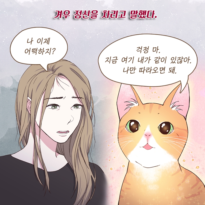카드뉴스10