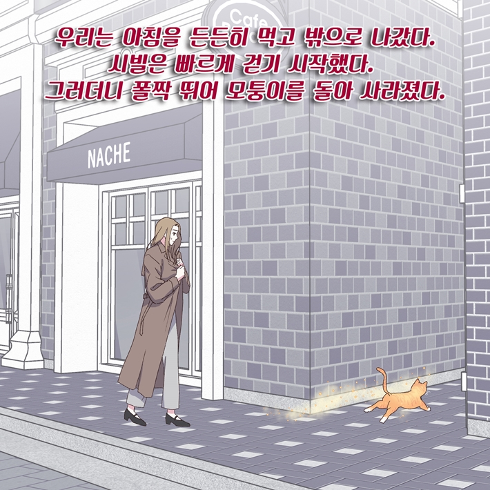 카드뉴스11