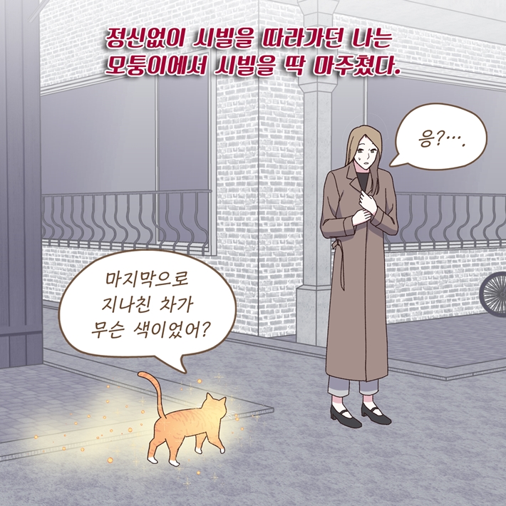 카드뉴스12