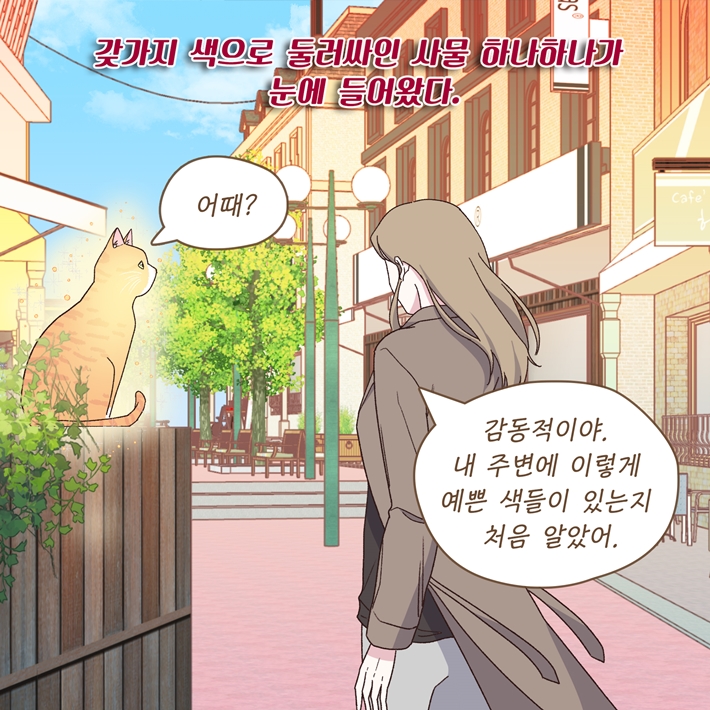 카드뉴스14