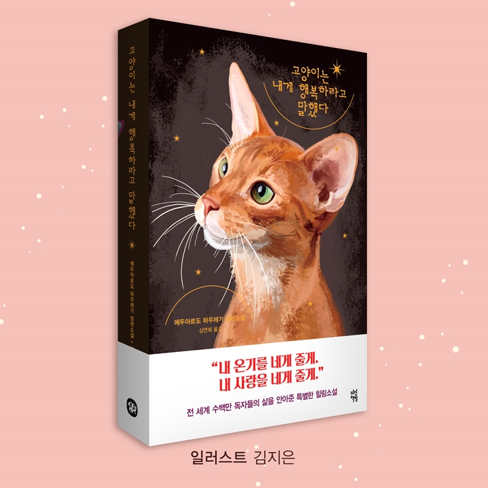 카드뉴스19
