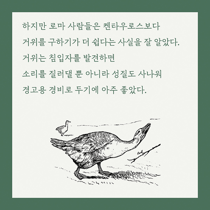 카드뉴스11