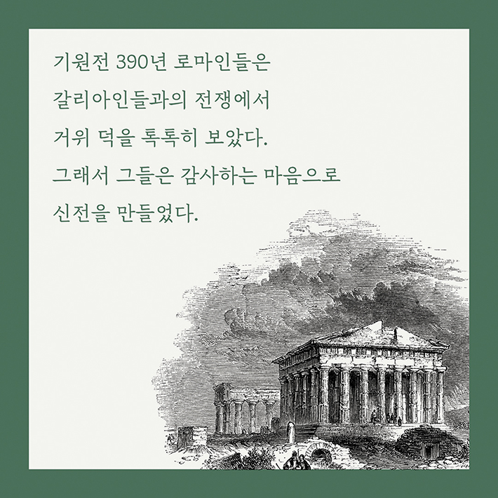 카드뉴스12
