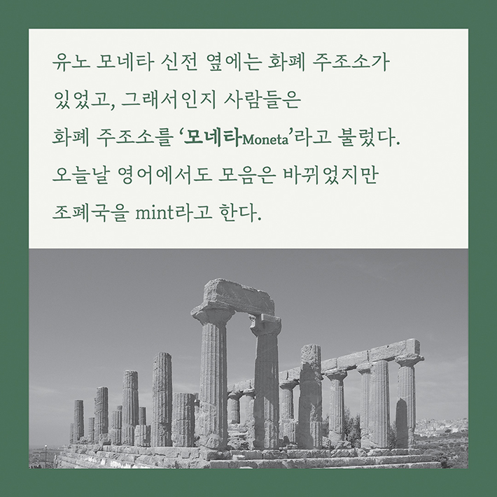카드뉴스14