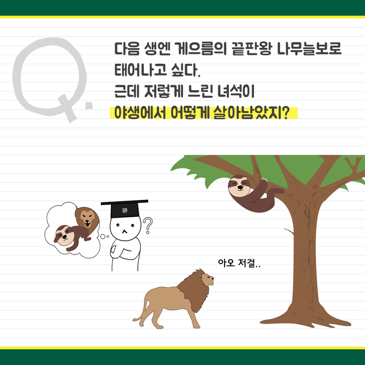 카드뉴스3