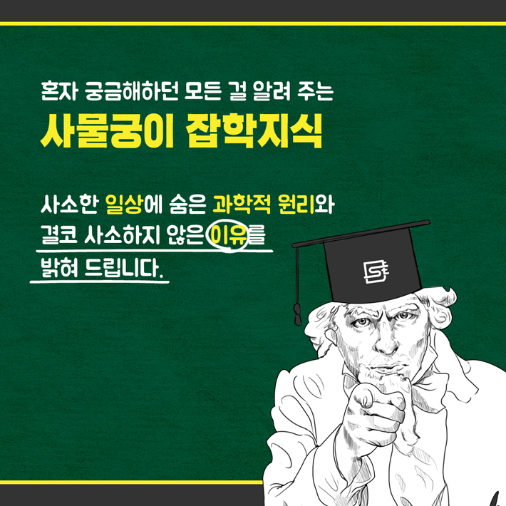 카드뉴스6