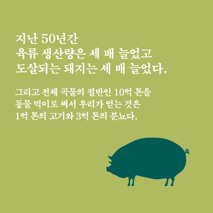 카드뉴스2