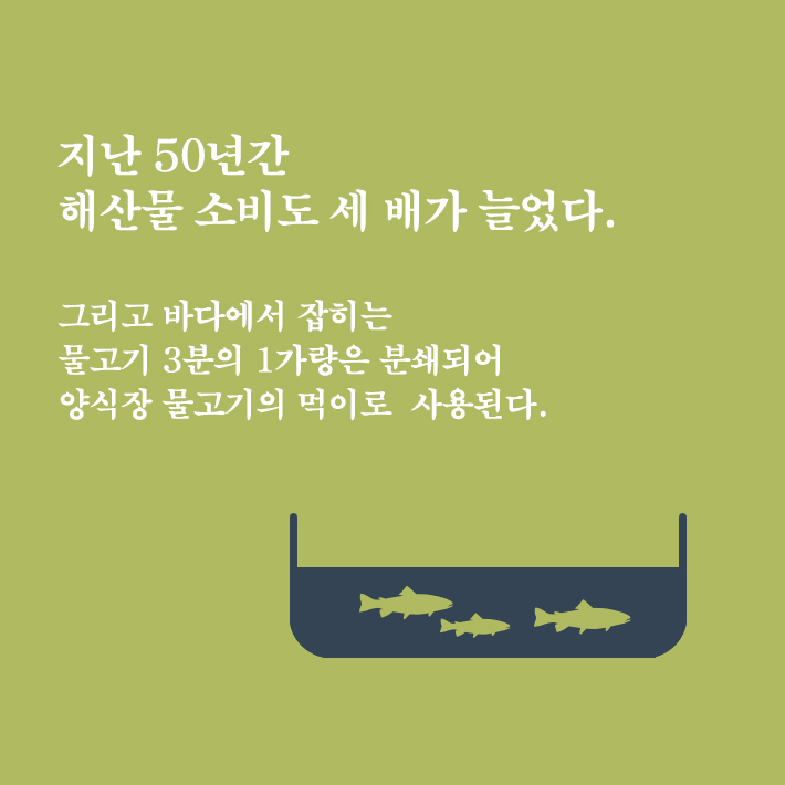 카드뉴스3