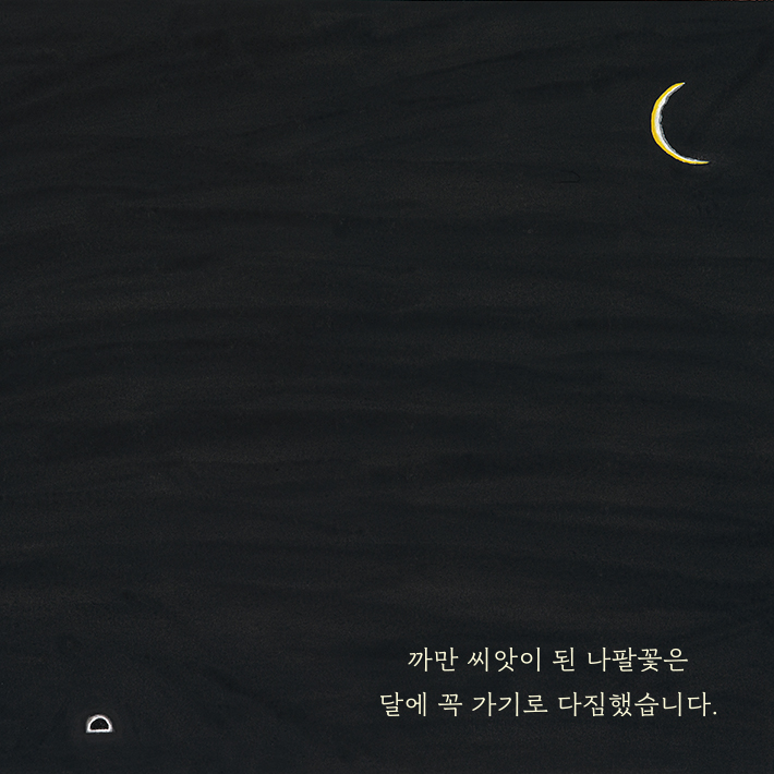 카드뉴스3