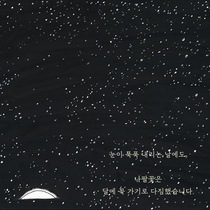 카드뉴스5
