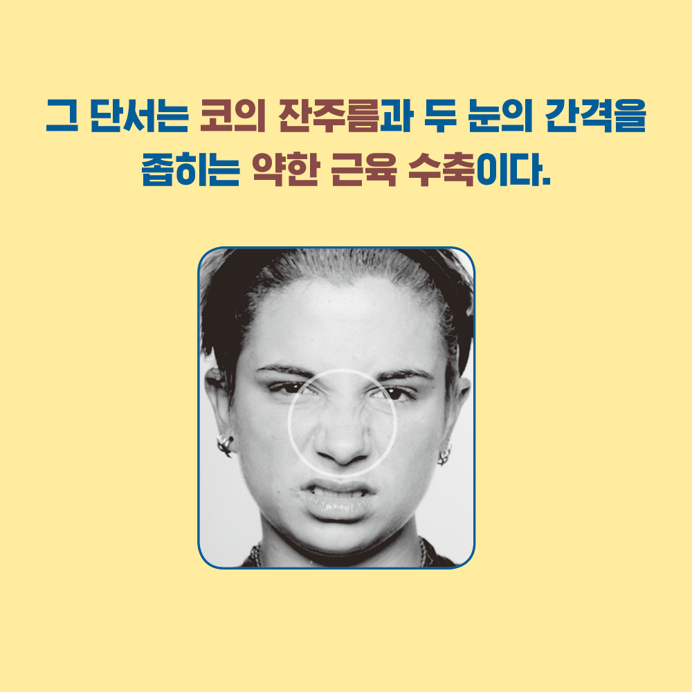 카드뉴스2