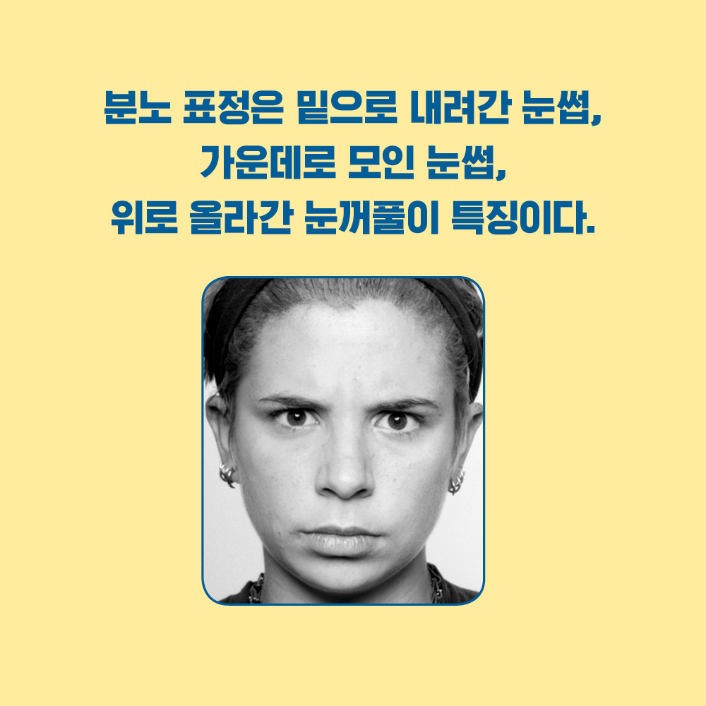 카드뉴스3