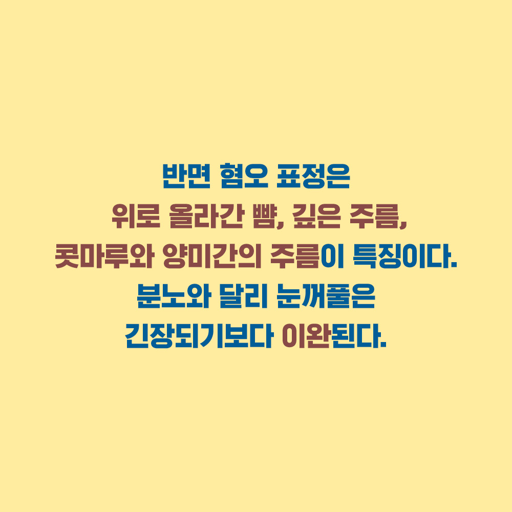 카드뉴스4
