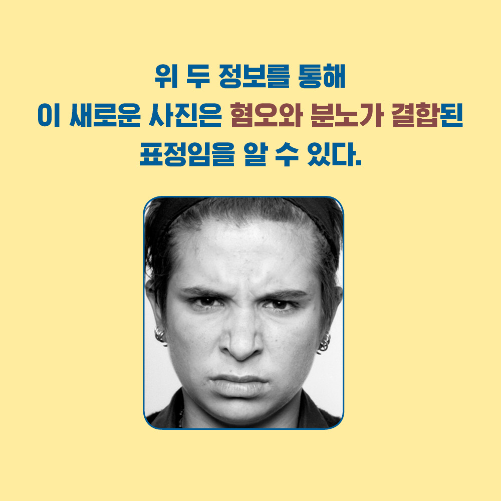 카드뉴스5