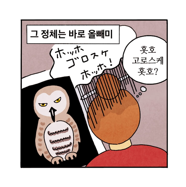 카드뉴스3