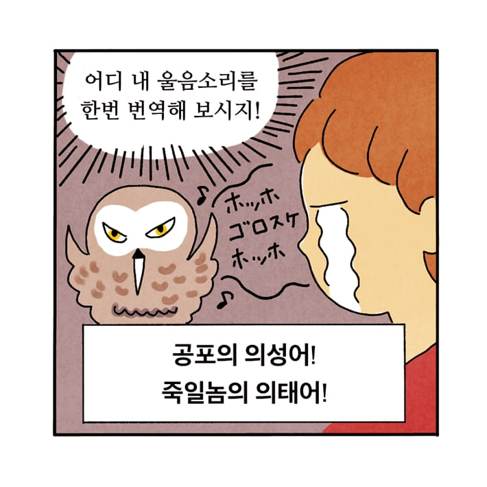 카드뉴스4