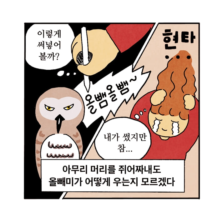 카드뉴스5