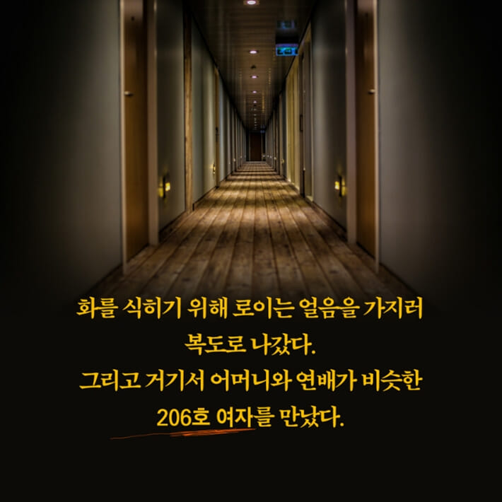 카드뉴스12