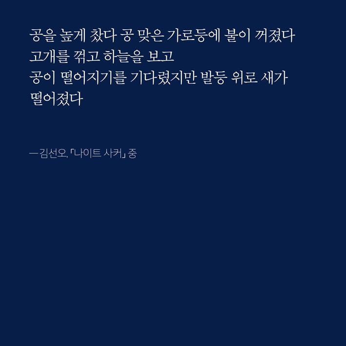 카드뉴스2