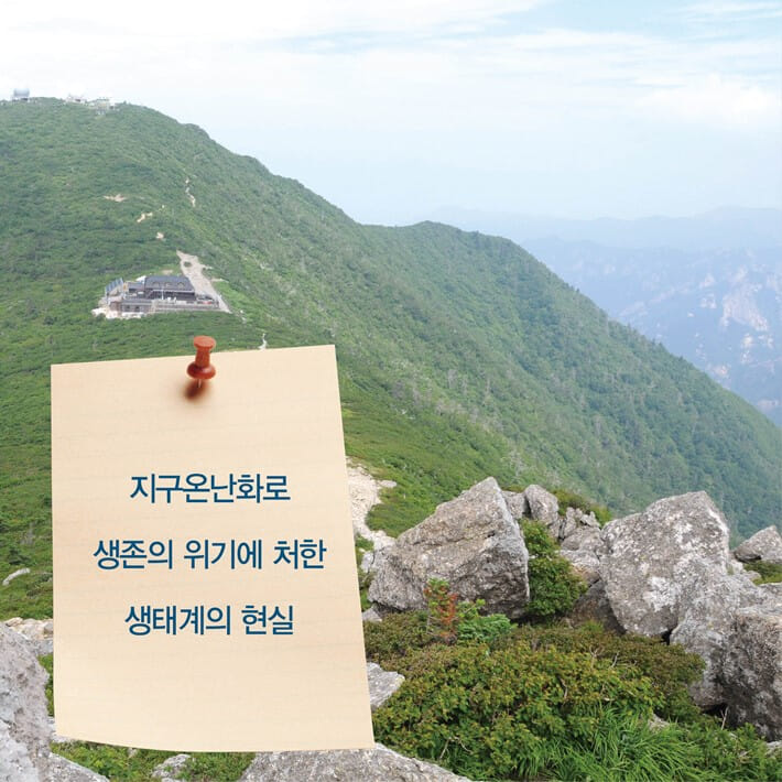카드뉴스2