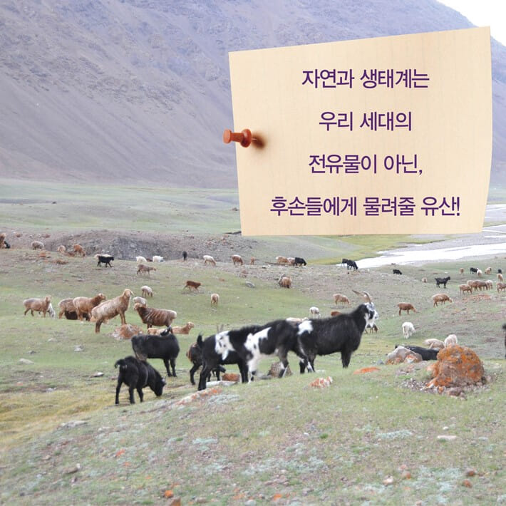카드뉴스3