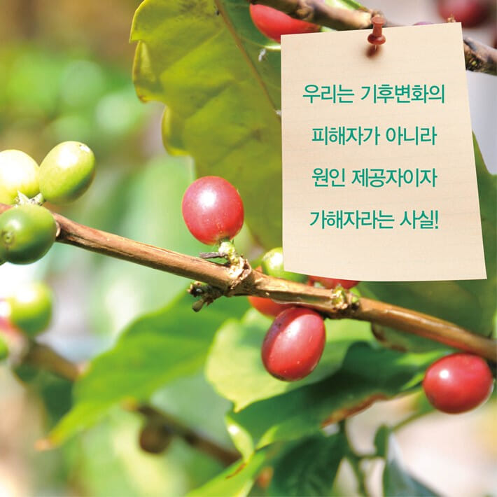 카드뉴스5