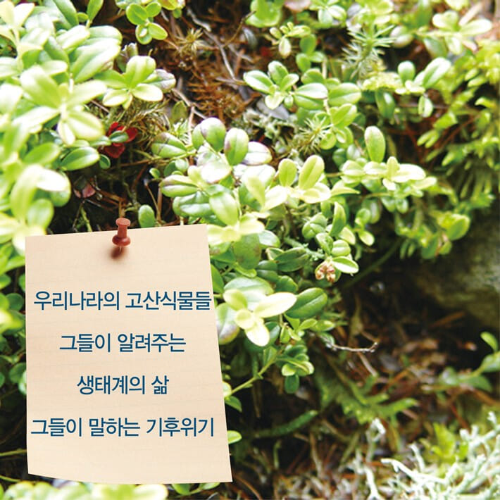 카드뉴스6