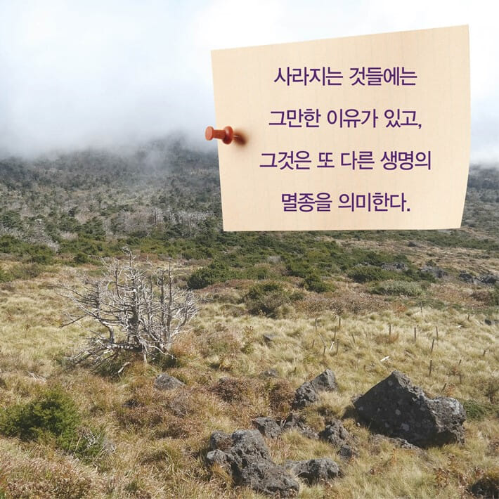카드뉴스7