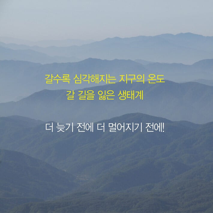 카드뉴스8