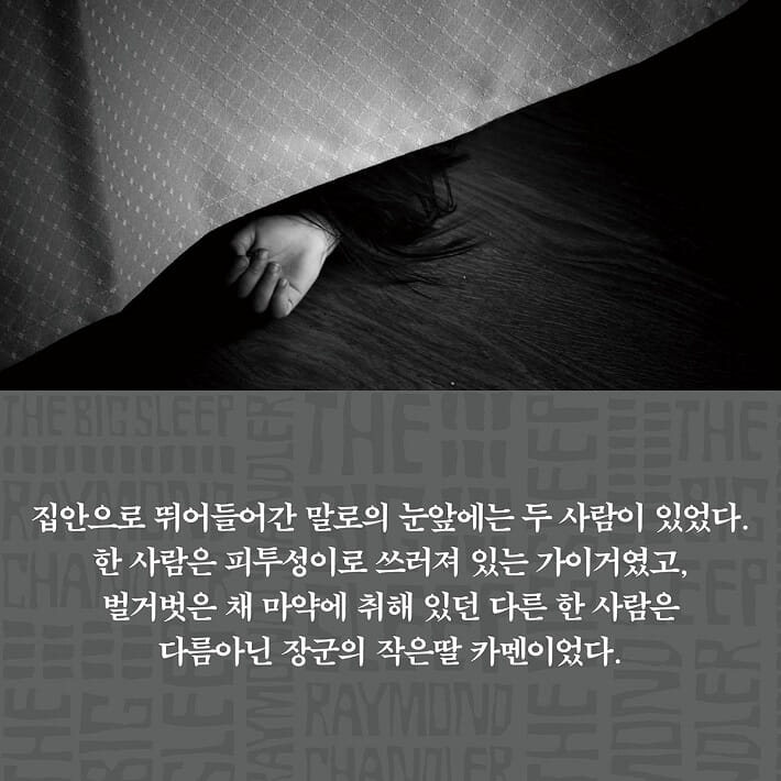 카드뉴스4
