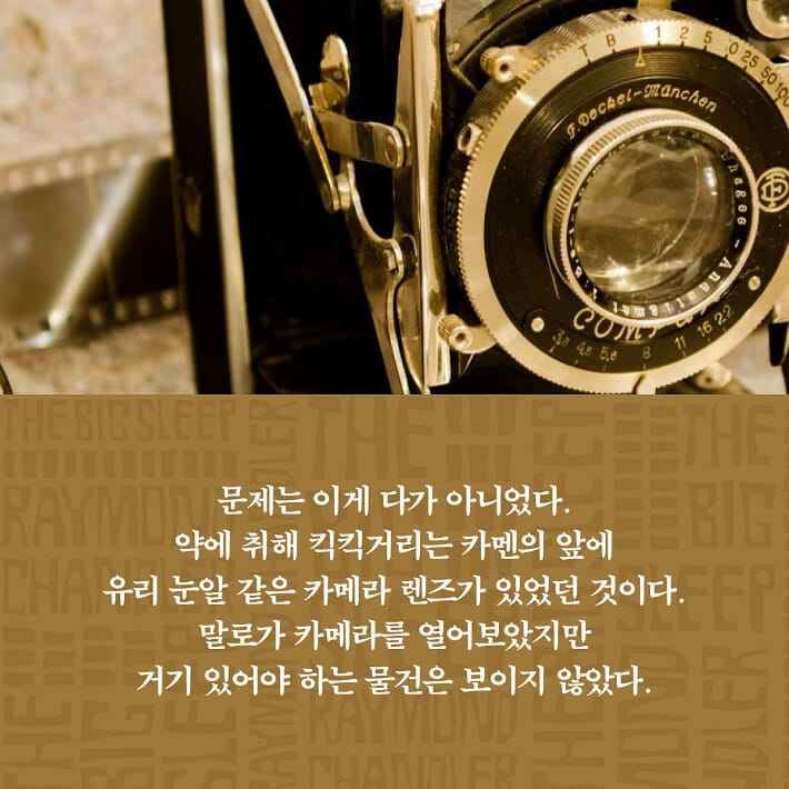 카드뉴스5